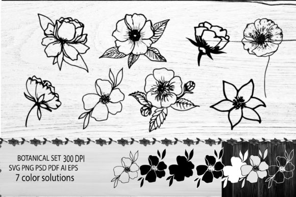 Flower SVG. Flower Botanical Bundle SVG